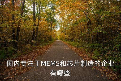 國(guó)內(nèi)專注于MEMS和芯片制造的企業(yè)有哪些