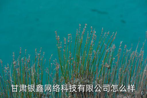 甘肅銀鑫網(wǎng)絡(luò)科技有限公司怎么樣