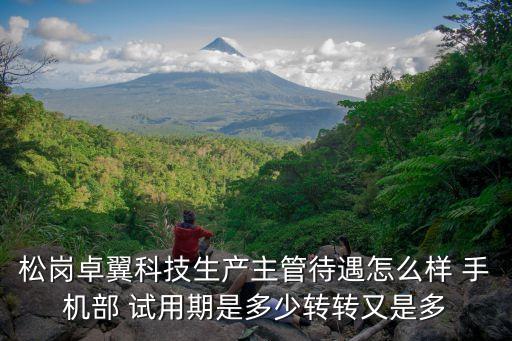 松崗卓翼科技生產(chǎn)主管待遇怎么樣 手機部 試用期是多少轉轉又是多