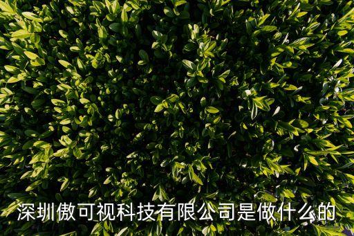 浙江傲利智能科技廠怎么樣，深圳傲可視科技有限公司是做什么的