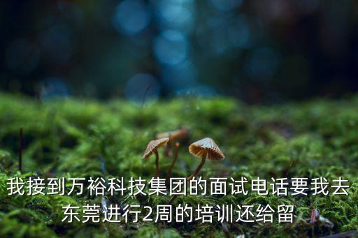 我接到萬?？萍技瘓F的面試電話要我去東莞進行2周的培訓還給留