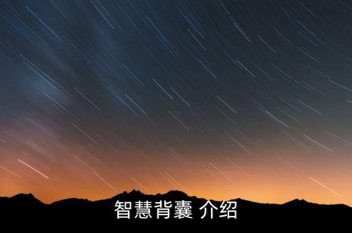 智慧背囊 介紹