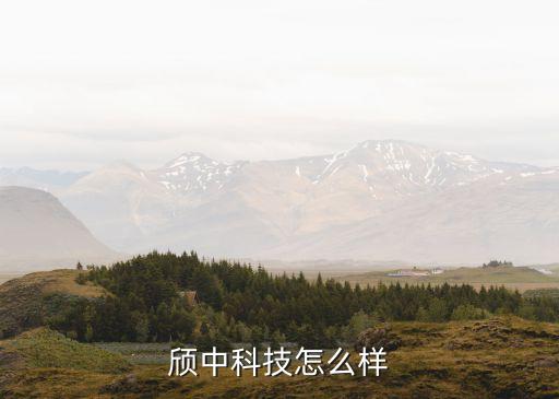 頎中科技怎么樣