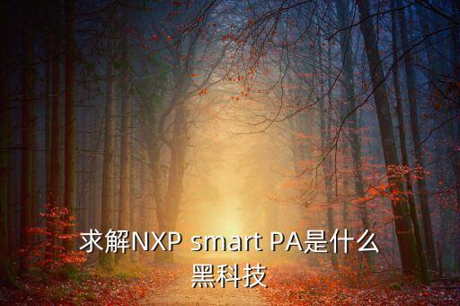 智能健身鏡的黑科技是什么，什么是黑科技