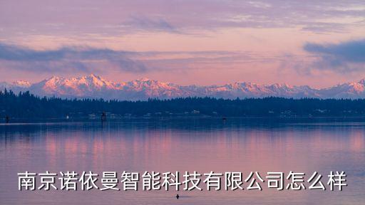 南京諾軒智能科技怎么樣，南京諾依曼智能科技有限公司怎么樣