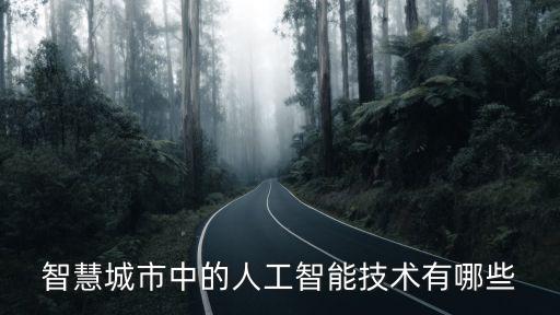 智慧城市中的人工智能技術(shù)有哪些