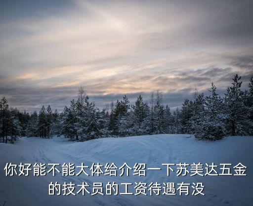 你好能不能大體給介紹一下蘇美達五金的技術(shù)員的工資待遇有沒