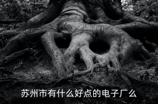 蘇州市有什么好點(diǎn)的電子廠么
