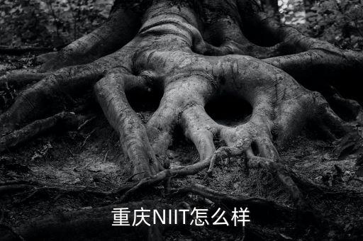 重慶NIIT怎么樣
