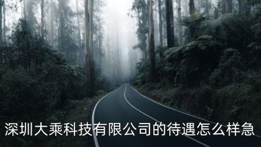 深圳大乘科技有限公司的待遇怎么樣急