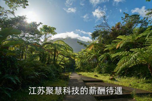 蘇州園聚智能科技工資多少，蘇州聚能硅業(yè)有限公司的薪資待遇怎樣我想去拉晶