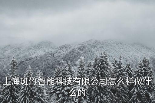 上海斑竹智能科技有限公司怎么樣做什么的