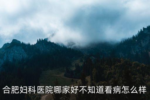 合肥婦科醫(yī)院哪家好不知道看病怎么樣