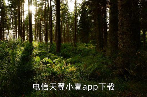 電信天翼小壹app下載