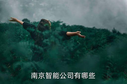 南京智能公司有哪些