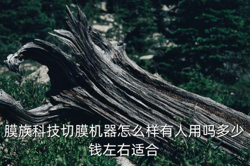 膜族科技切膜機(jī)器怎么樣有人用嗎多少錢左右適合