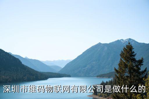 深圳市維碼物聯(lián)網(wǎng)有限公司是做什么的