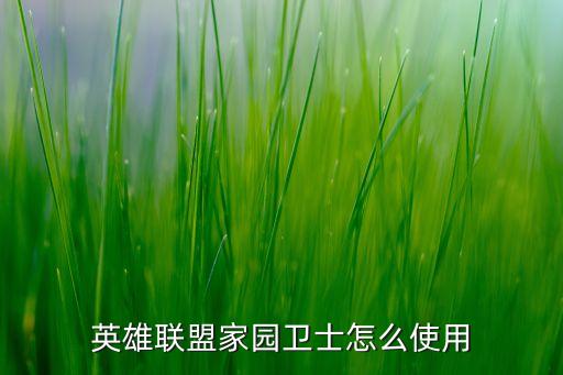 英雄聯(lián)盟家園衛(wèi)士怎么使用
