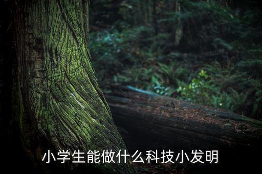 小學(xué)生能做什么科技小發(fā)明