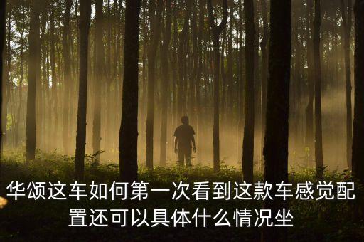 江蘇華頌智能科技怎么樣，8月份推出的華頌x84l性能怎么樣市場價是多少