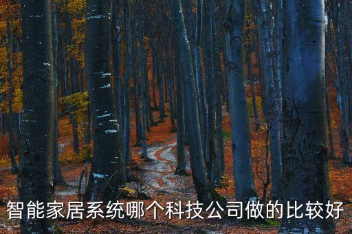 智能科技公司哪個更好，智能家居系統(tǒng)哪個科技公司做的比較好