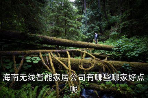 海南無(wú)線智能家居公司有哪些哪家好點(diǎn)呢