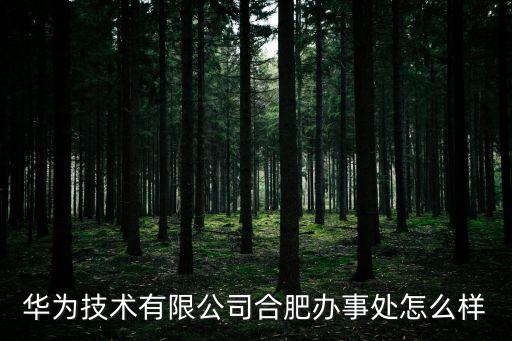 華為技術(shù)有限公司合肥辦事處怎么樣