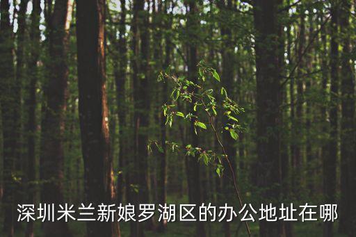 羅湖智能科技城在哪里辦公，深圳米蘭新娘羅湖區(qū)的辦公地址在哪