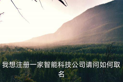 我想注冊一家智能科技公司請問如何取名