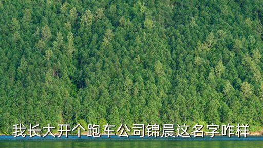 我長(zhǎng)大開(kāi)個(gè)跑車(chē)公司錦晨這名字咋樣
