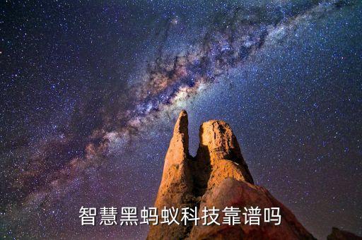 智慧黑螞蟻科技靠譜嗎