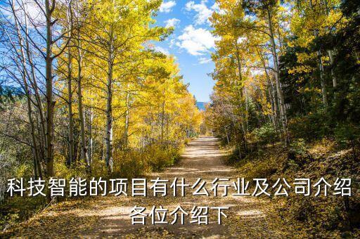 科技智能的項目有什么行業(yè)及公司介紹各位介紹下