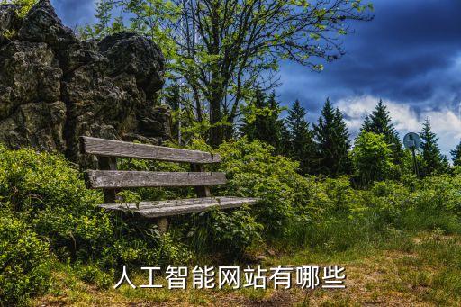 人工智能網(wǎng)站有哪些