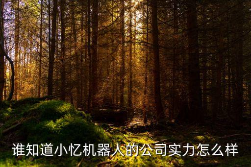 誰(shuí)知道小憶機(jī)器人的公司實(shí)力怎么樣