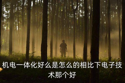 機(jī)電一體化好么是怎么的相比下電子技術(shù)那個(gè)好