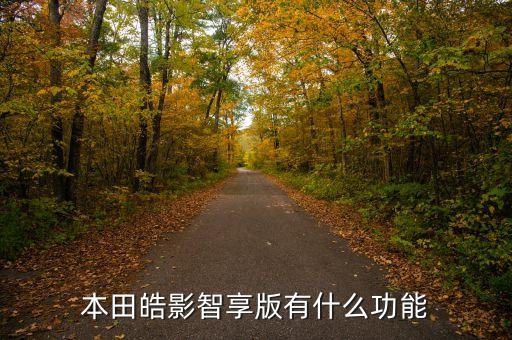 本田皓影智享版有什么功能