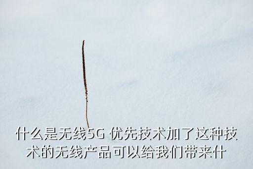 帕鈦勒智能科技做什么的，上海鈦度智能科技有限公司的介紹