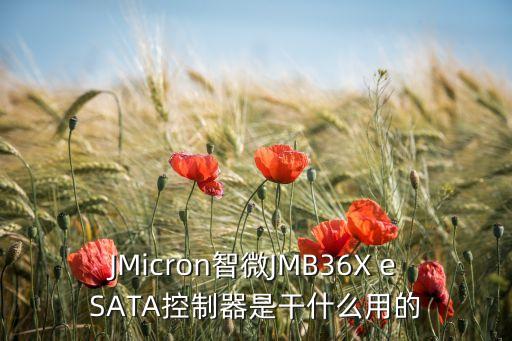 朗特科技智能控制器是什么，JMicron智微JMB36X eSATA控制器是干什么用的