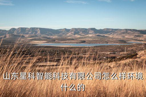 山東星科智能科技有限公司怎么樣環(huán)境什么的