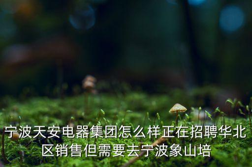 寧波天安電器集團怎么樣正在招聘華北區(qū)銷售但需要去寧波象山培