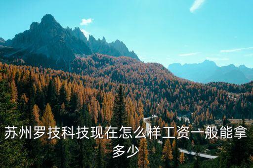 蘇州羅技科技現(xiàn)在怎么樣工資一般能拿多少