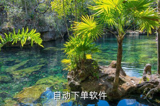 全網(wǎng)最便宜24小時自助下單軟件，自動下單軟件