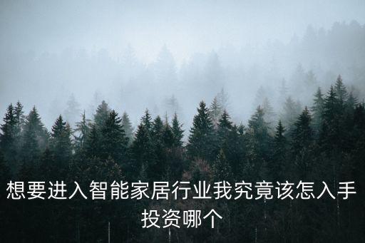 想要進(jìn)入智能家居行業(yè)我究竟該怎入手投資哪個(gè)