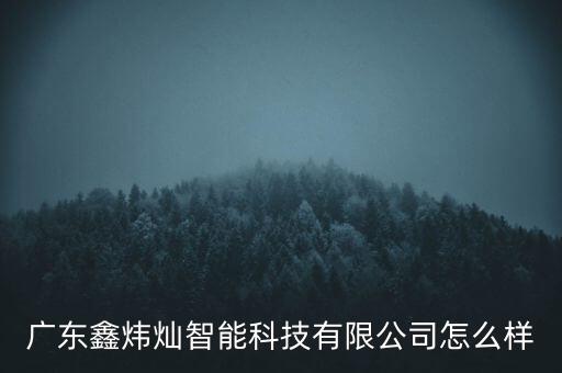 廣東鑫煒燦智能科技有限公司怎么樣