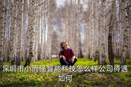 小視智能科技怎么樣，深圳市小而強(qiáng)智能科技怎么樣公司待遇如何