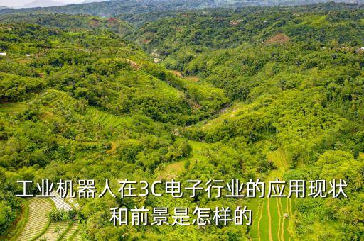 工業(yè)機器人現(xiàn)狀和發(fā)展前景，人工智能機器人的發(fā)展前景
