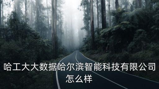 哈工大大數(shù)據(jù)哈爾濱智能科技有限公司怎么樣