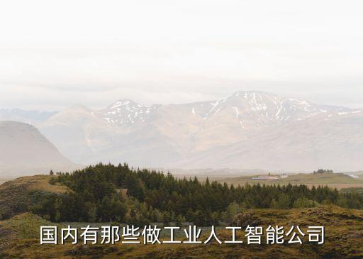 國(guó)內(nèi)有那些做工業(yè)人工智能公司