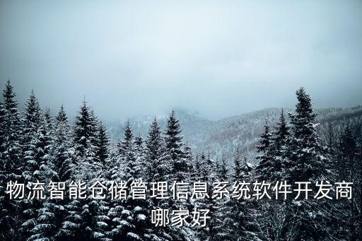 物流智能倉儲(chǔ)管理信息系統(tǒng)軟件開發(fā)商哪家好