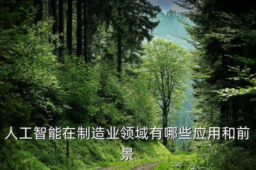 人工智能在制造業(yè)領(lǐng)域有哪些應(yīng)用和前景